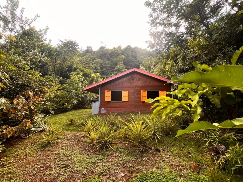 Ti Kwabyé Eco Kamp