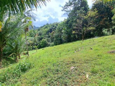 5-Acres of land for eco-development for Sale