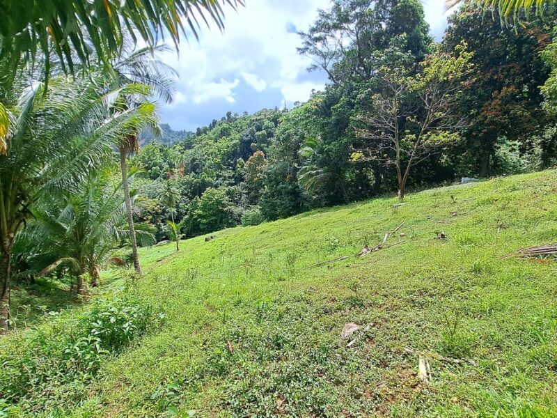 5-Acres of land for eco-development for Sale