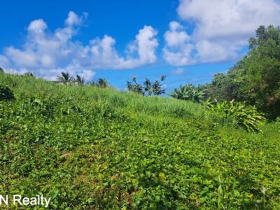 Four (4) Residential Lots