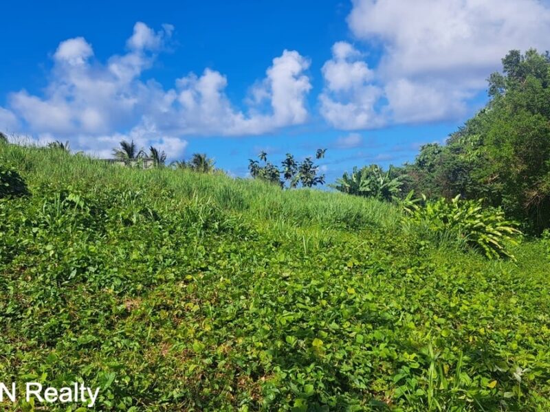 Four (4) Residential Lots