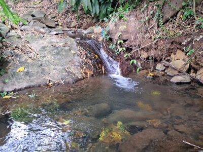 5-Acres of land for eco-development for Sale