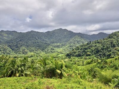 5-Acres of land for eco-development for Sale