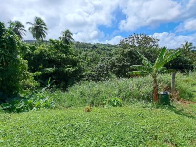 8700 sq ft House Lot - Marigot
