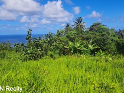 Four (4) Residential Lots