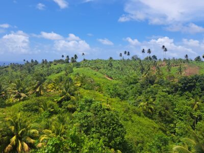 An eco-getaway