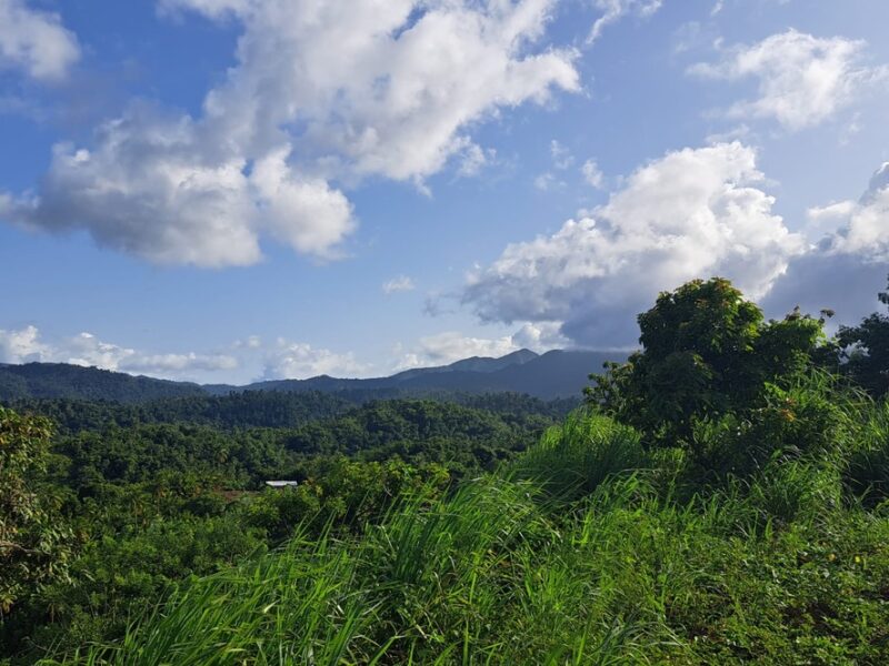 Ocean and Mountain View
