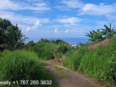 49005 sq ft in Marigot