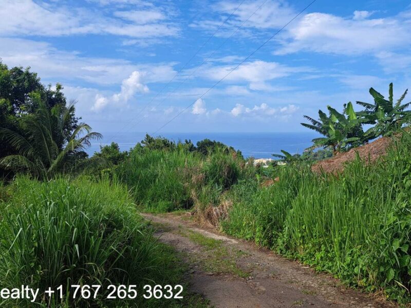 49005 sq ft in Marigot