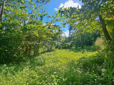 3.2-Acres for Sale