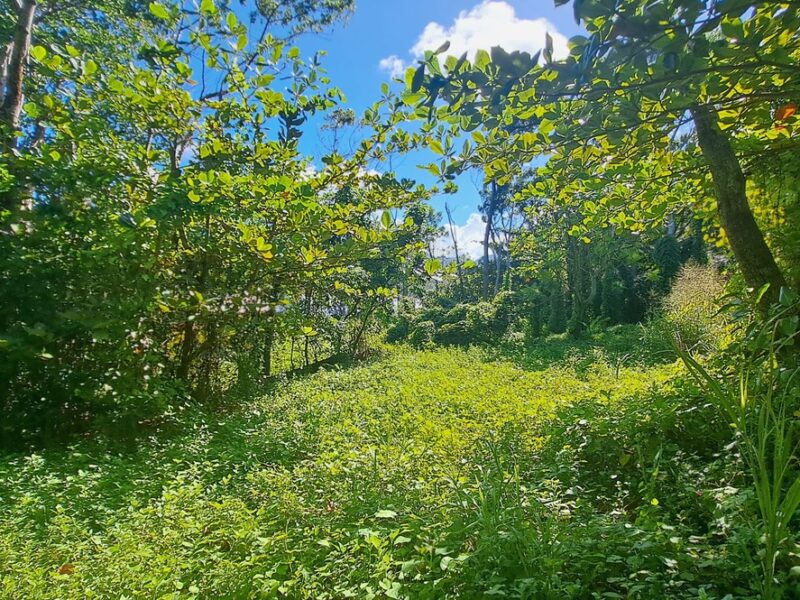 3.2-Acres for Sale