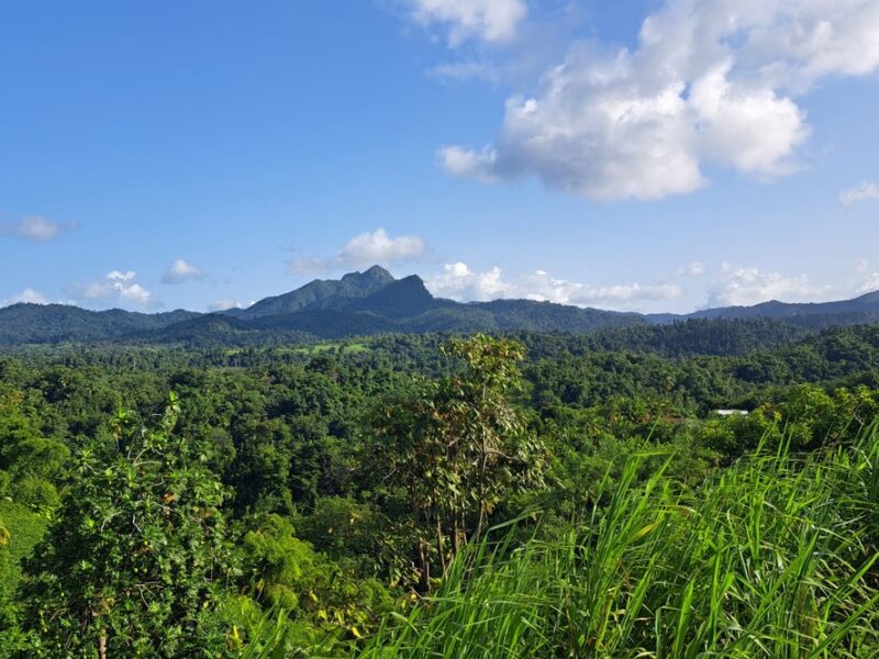 Ocean and Mountain View