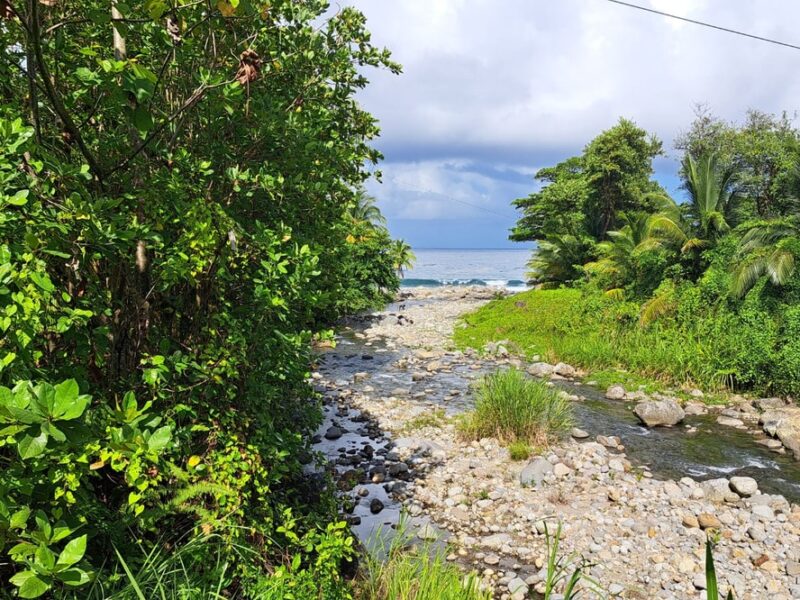 Oceanfront Land