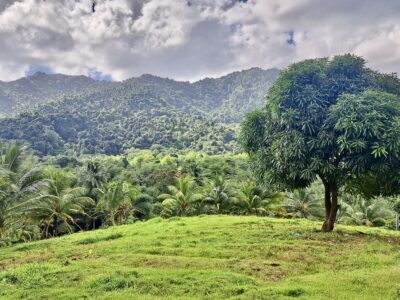2.14 Acres of Prime Real Estate