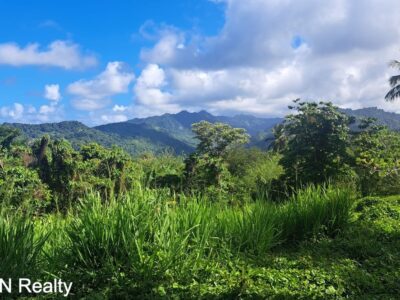 Four (4) Residential Lots