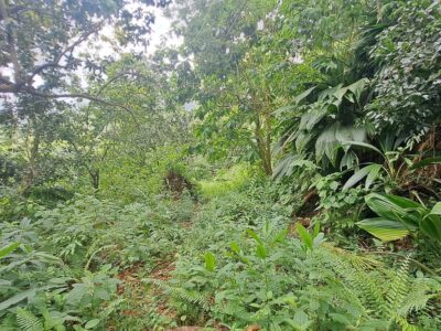 2 Acres - With Riverfront