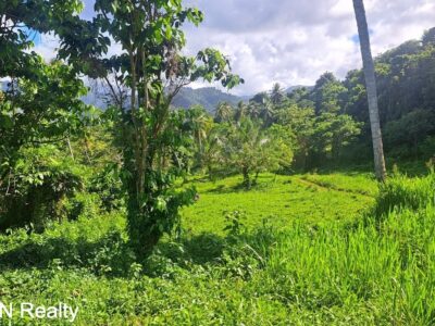 Four (4) Residential Lots