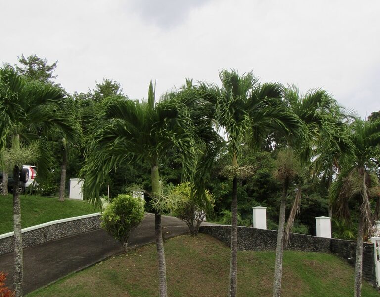 Income Property