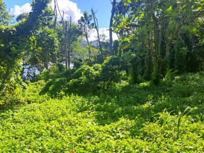 3.2-Acres for Sale