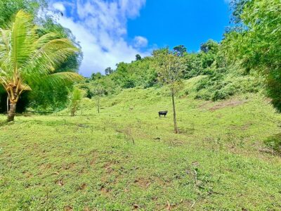 5-Acres of land for eco-development for Sale