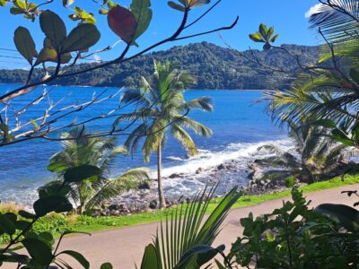 3.2-Acres for Sale