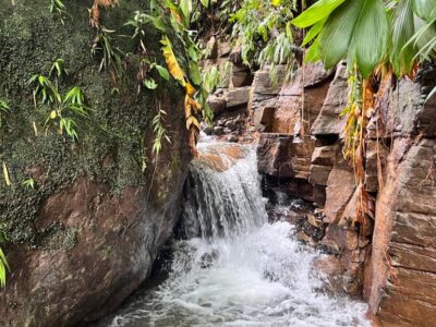 Ti Kwabyé Eco Kamp