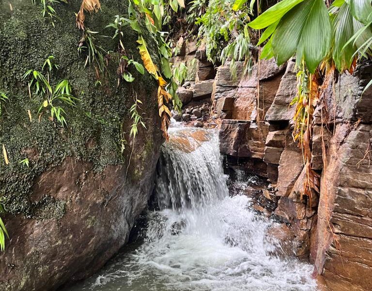 Ti Kwabyé Eco Kamp