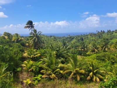 An eco-getaway