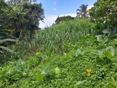 8700 sq ft House Lot - Marigot