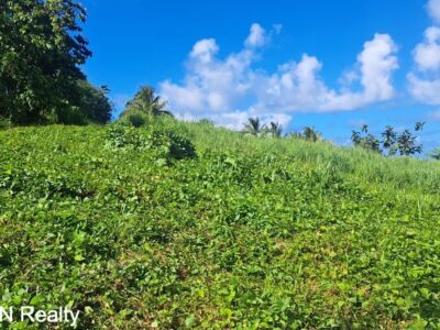 Four (4) Residential Lots
