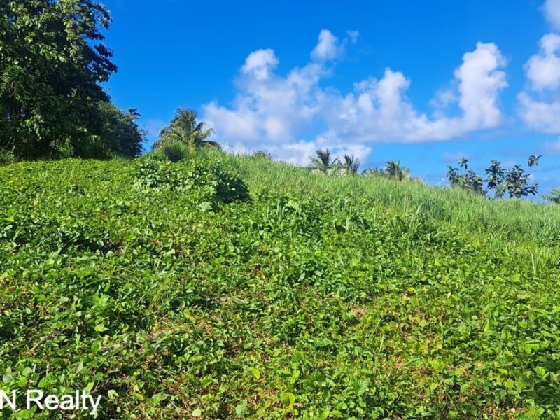 Four (4) Residential Lots