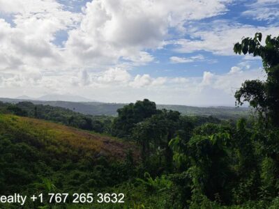 49005 sq ft in Marigot