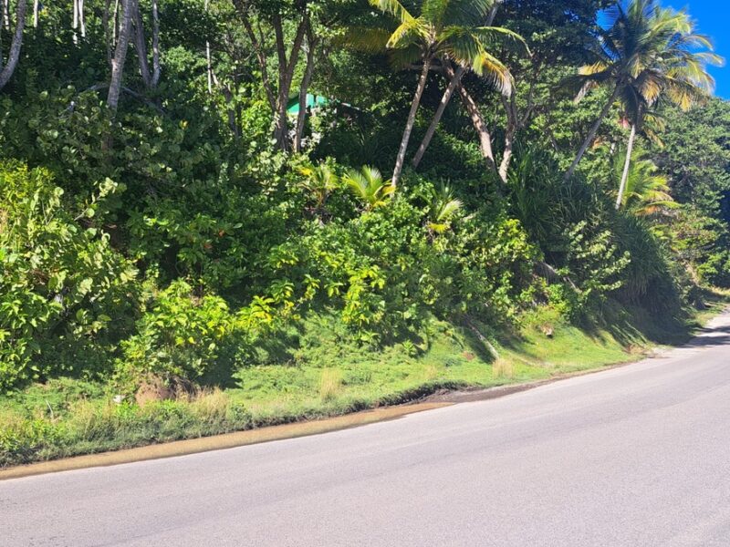 3.2-Acres for Sale