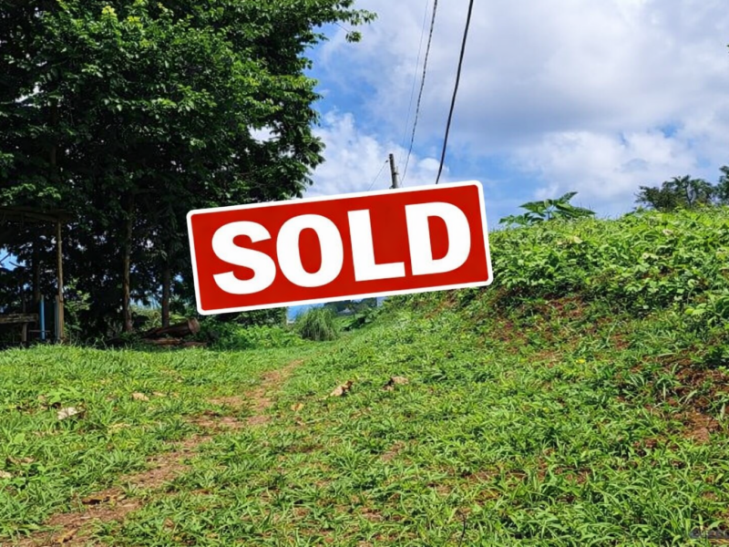 8700 sq ft House Lot - Marigot