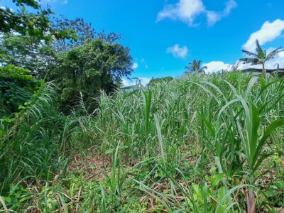 8700 sq ft House Lot - Marigot