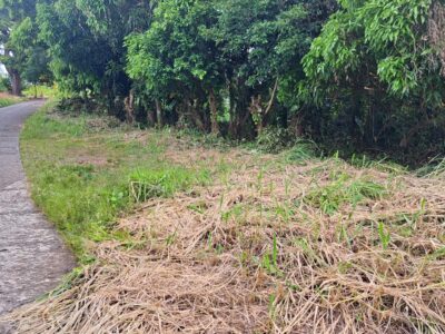 19456 sq ft plot