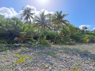 Oceanfront Land