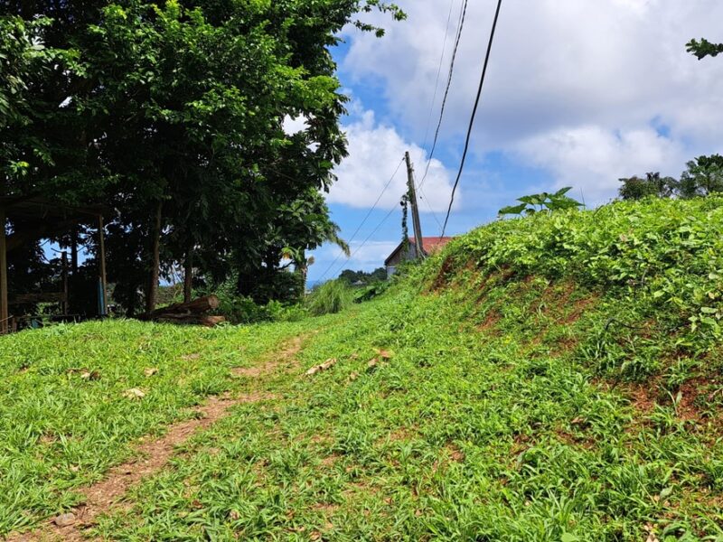 8700 sq ft House Lot - Marigot
