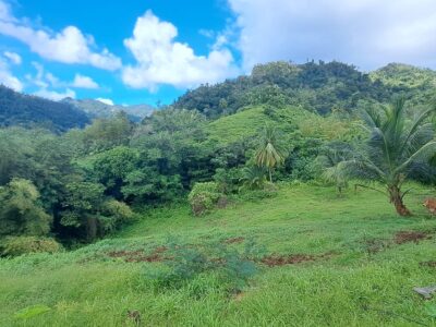 2.14 Acres of Prime Real Estate