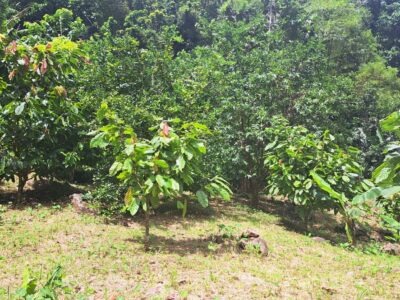 3-acre plot of land in Pichelin
