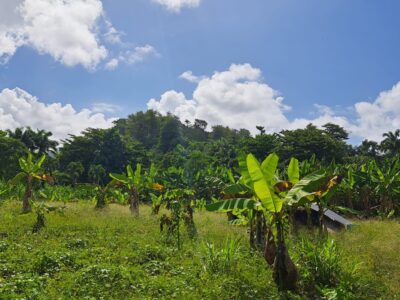 Oceanfront Land
