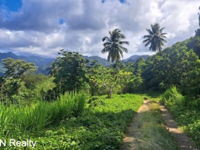 Four (4) Residential Lots