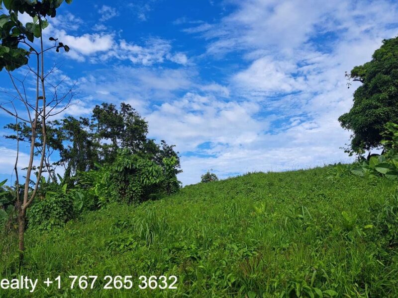 49005 sq ft in Marigot