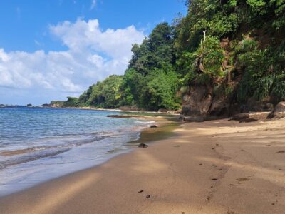 Income Property for Sale