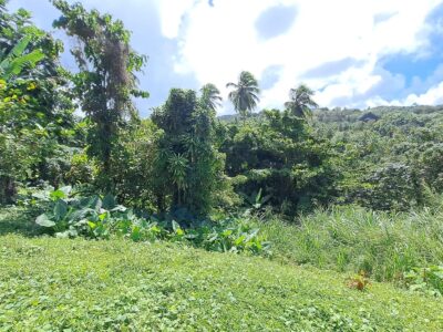 8700 sq ft House Lot - Marigot