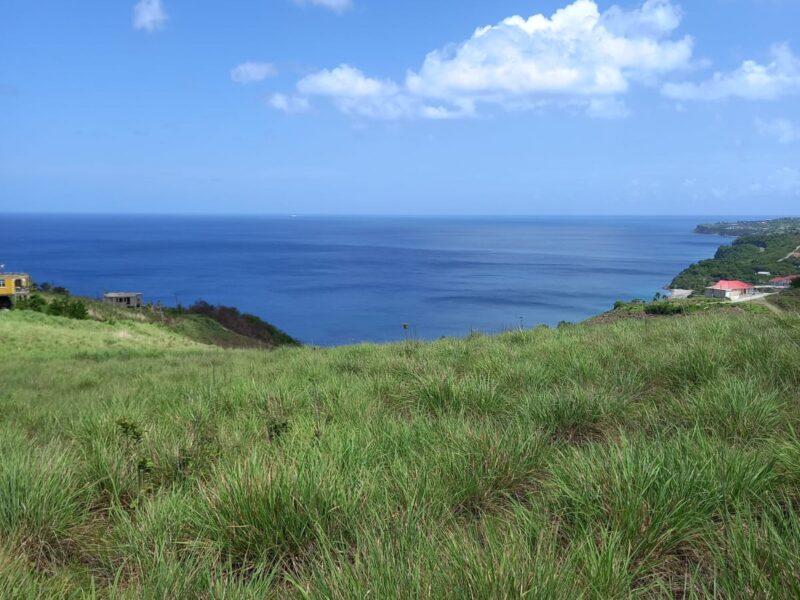 Land in Syers Estate
