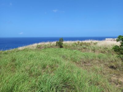 Land in Syers Estate