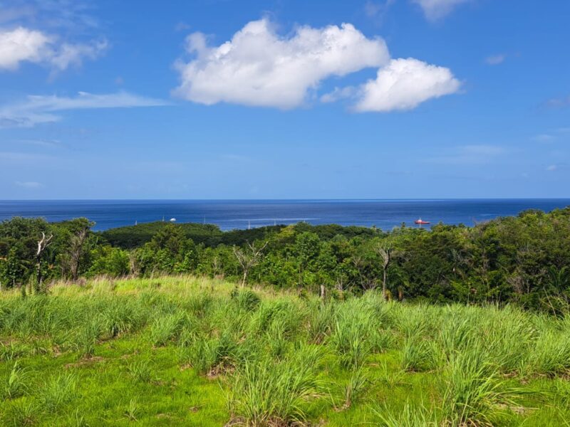 Ocean View Land