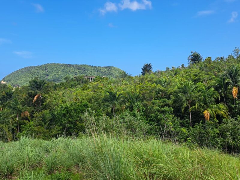 Ocean View Land