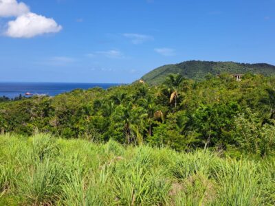 Ocean View Land